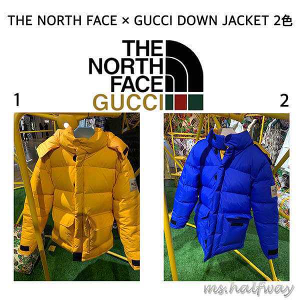 THE NORTH FACE × GUCCI DOWN JACKET ダウンコート2色