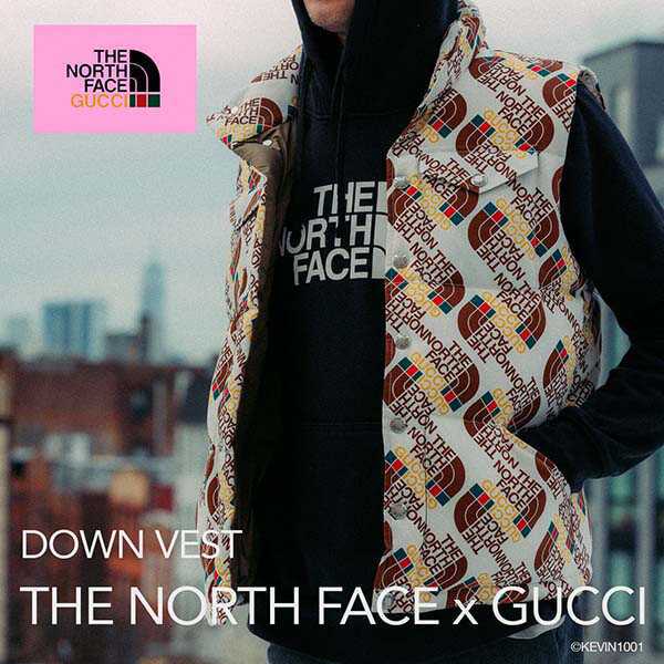 THE NORTH FACE x GUCCI ダウンベスト 809620896